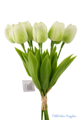 Tulipán gumi 9 szálas kötegelt csokor 32 cm - Zöldes