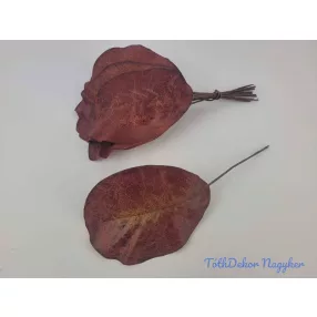 Őszi bőrlevél - Vörös