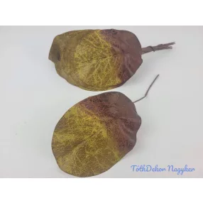 Őszi bőrlevél - Sárga-Barna