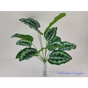 Tarka levelű bokor 42 cm