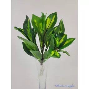Foltos levelű bokor 23 cm