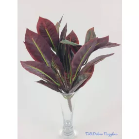 Vöröses zöld levelű bokor 23 cm