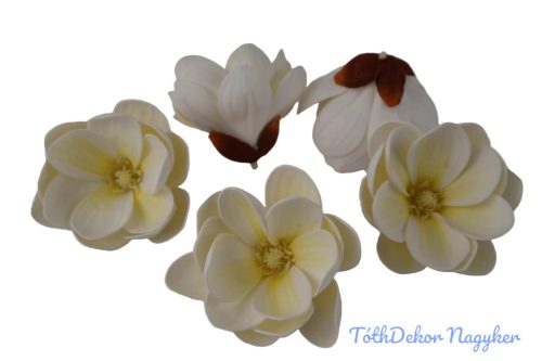 Polifoam magnólia fej D10cm - Krém