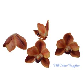 Polifoam orchidea fej 9,5cm - Narancs