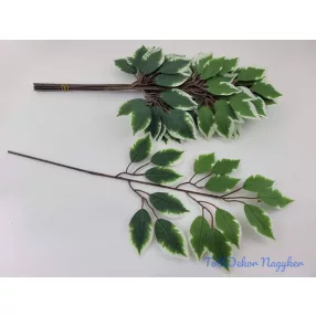Fikusz 15 lv. ág 53 cm - Tarka