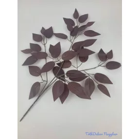 Fikusz 42 leveles ág 51x49cm - Vörös