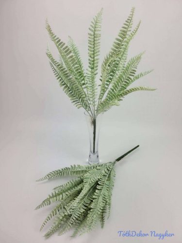 Páfrány 19 ágú hamvas bokor 45 cm mű álló leveles cserepezhető