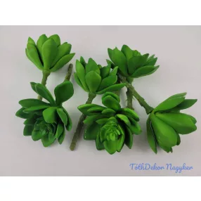 Kövirózsa enyhén gumis 14 cm - Zöld