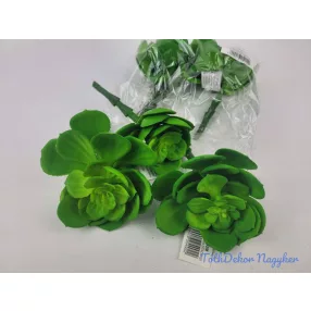 Kövirózsa nyílt gumis pozsgás 14 cm - Zöld