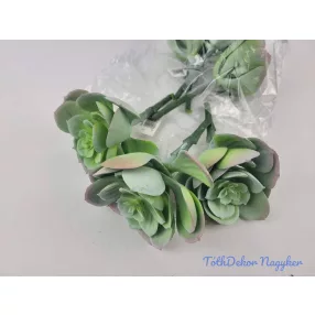 Kövirózsa nyílt gumis pozsgás 14 cm - Hamvas