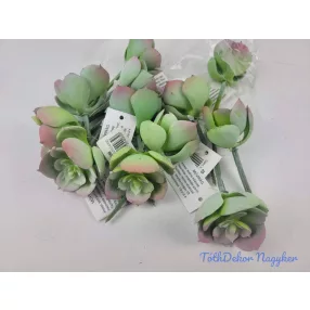 Kövirózsa bimbós gumis pozsgás 9 cm - Hamvas