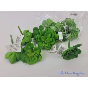 Kövirózsa nyílt gumis pozsgás 6 cm - Zöld