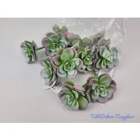 Kövirózsa nyílt gumis pozsgás 6 cm - Hamvas