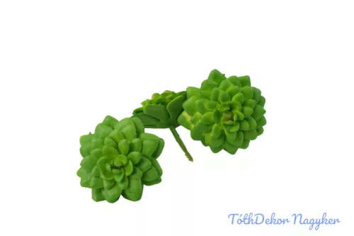 Kövirózsa gumis 6,5cm - Zöld