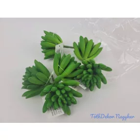 Kövirózsa gumis pozsgás 8 cm - Zöld