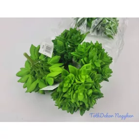 Kövirózsa 12 fejes gumis pozsgás 9 cm - Zöld