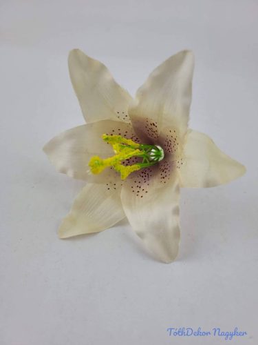 Liliom fej 13 cm - Krém-Mályva
