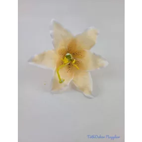 Liliom fej 13 cm - Halvány Barack