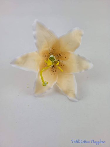 Liliom fej 13 cm - Halvány Barack