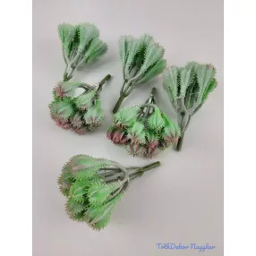 Gumis kaktusz 9,5 cm - Hamvas