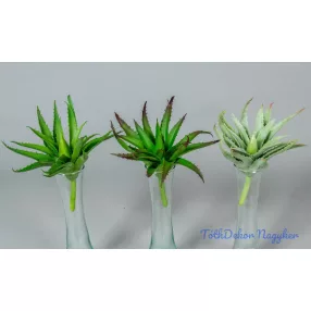 Aloe vera gumis élethű pozsgás 15 cm - 3 színben
