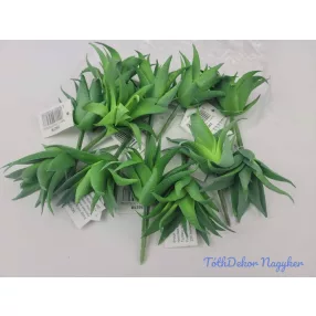 Aloe vera gumis pozsgás 8,5 cm - Zöld