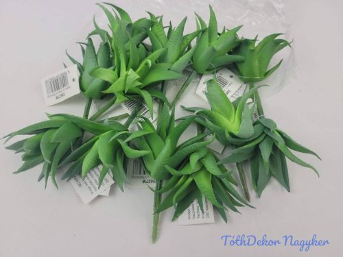 Aloe vera gumis pozsgás 8,5 cm - Zöld