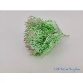 Varjúháj gumis pozsgás 16 cm - Hamvas