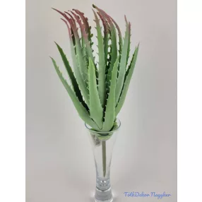 Aloe vera enyhén gumis 31 cm - Hamvas