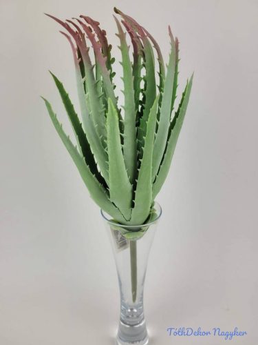 Aloe vera enyhén gumis 31 cm - Hamvas