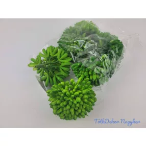 Kövirózsa gumis pozsgás 9 cm Dús gombóc - Zöld