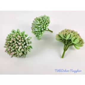 Kövirózsa gumis pozsgás 9 cm Dús gombóc - Hamvas