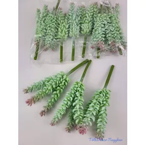 Kövirózsa 4 ágú hosszanti gumis pozsgás 22 cm - Hamvas