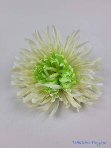 Tűszirmú krizantém fej 16cm - Krém-Zöld