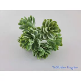 Hamvas műzöld kövirózsa csokor 20cm - Hamvas