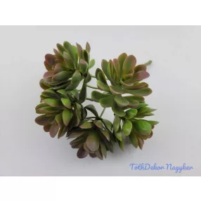 Hamvas műzöld kövirózsa csokor 20cm - Zöld