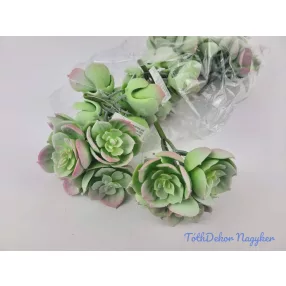 Kövirózsa 5 fejes gumis pozsgás 10 cm - Hamvas