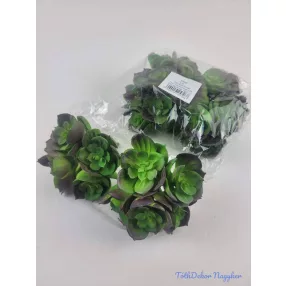 Kövirózsa 5 fejes gumis pozsgás 10 cm - Sötétlő Zöld