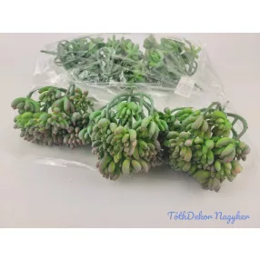 Varjúháj többágú 21 fejes gumis pozsgás 14 cm - Hamvas