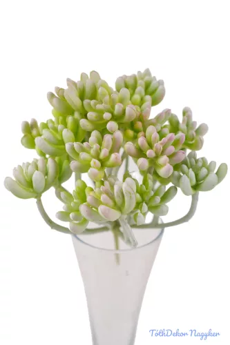 Varjúháj többágú 21 fejes gumis pozsgás 14 cm - Hamvas