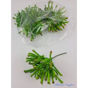 Vágott csöves mű pozsgás 21 cm - Narancsos Zöld