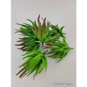 Aloe vera gumis pozgás 10 cm - Barnuló Zöld