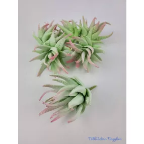 Aloe vera gumis pozgás 10 cm - Hamvas