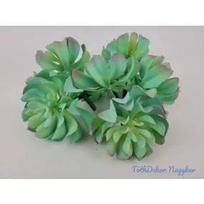 Kerek szirmú kövirózsa enyhén gumis 14 cm - Hamvas