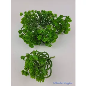 Több ágú mű kövirózsa 14 cm - Zöld