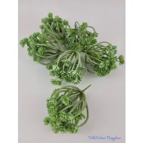 Több ágú mű kövirózsa 14 cm - Hamvas