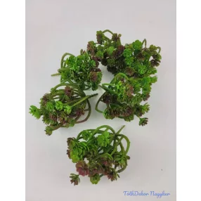 Több ágú mű kövirózsa 14 cm - Sötétlő