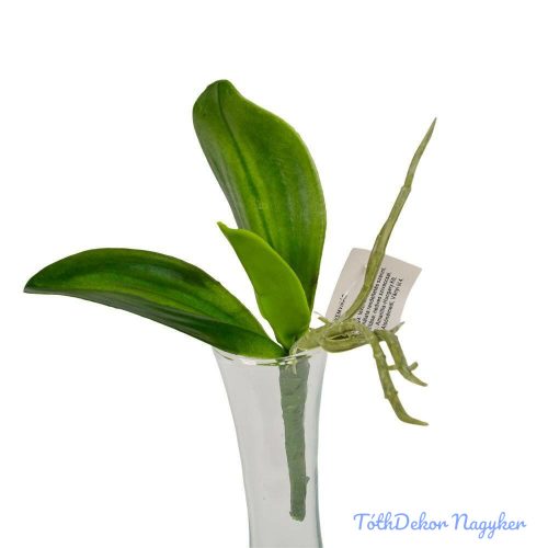 Orchidea 3 ágú élethű levél gyökérrel 13 cm