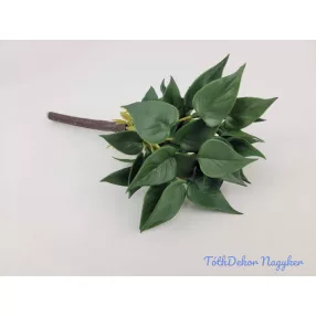 Szívleveles gumis bokor 21 cm - Sötét Zöld