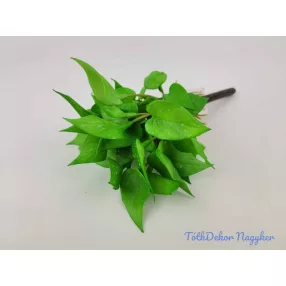 Szívleveles gumis bokor 21 cm - Világos Zöld Foltos